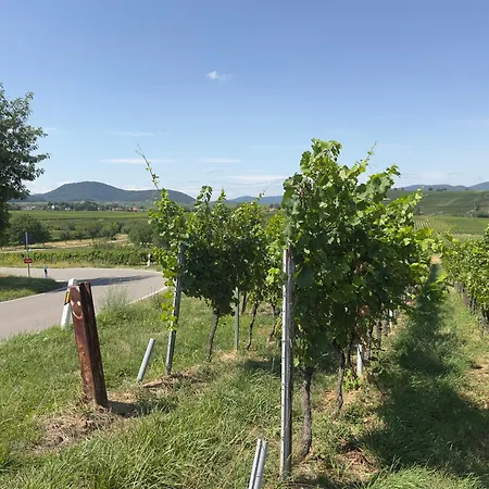 Affittacamere Der-Schaefer-Hof *